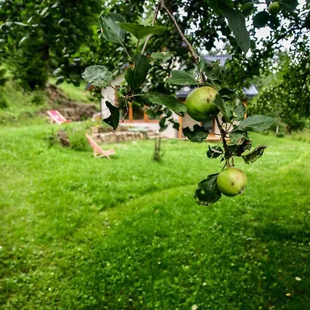 Pod Jablonia